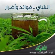 الشاي .. فوائد وأضرار