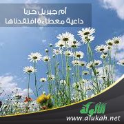 أم جبريل حربا - داعية معطاءة افتقدناها