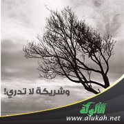 وشريكة لا تدري!