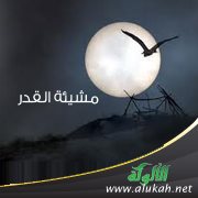 مشيئة القدر