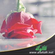 نظرات وحب ليس له نهاية