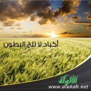 أكباد لا تلج البطون