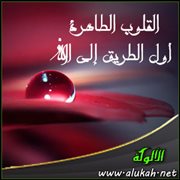 القلوب الطاهرة أول الطريق إلى الله