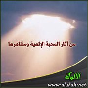 من آثار المحبة الإلهية ومظاهرها .. أن يسدد الله تعالى خطاه فيكون النجاح دائمًا حليفه