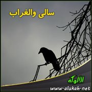 سالي والغراب ( قصيدة )