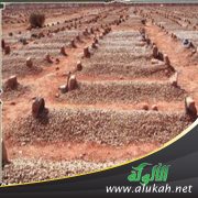 حكم الصلاة على الجنازة بعد دفنها