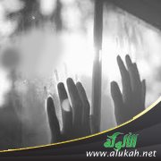 تزوجت نصرانيا زعم أنه أسلم، فما العمل؟