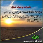 تأملات في قوله تعالى: {  أومن كان ميتا فأحييناه... }
