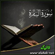 تفسير سورة البقرة .. الآية (215)