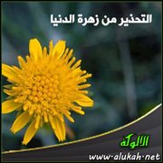 التحذير من زهرة الدنيا