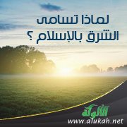 لماذا تسامى الشرق بالإسلام؟ ( قصيدة )