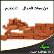 من سمات الجمال .. التنظيم