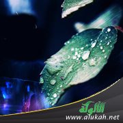 صفات أولياء الله وعلامات حسن الخاتمة ( خطبة )