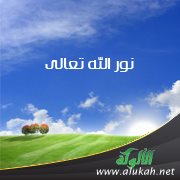 نور الله تعالى ( خطبة )