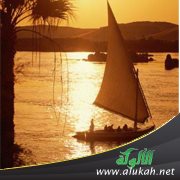 من دروس الحقيقة
