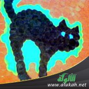 قط أسود ( قصة قصيرة )