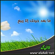 ما بعد جرحك إلا ربيع ( قصيدة )