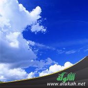 عاشق في سماء وطن ( قراءة في قصيدة )