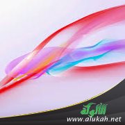 معنى قول: إياك أن تتكلم في مسألة ليس لك فيها إمام