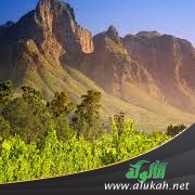 مأساة قميص ( قصة قصيرة )