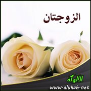 الزوجتان