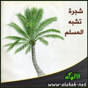شجرة تشبه المسلم
