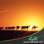 وفاء العرب ( قصة )
