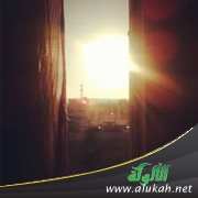 مرايا وعدسات ( قصة )