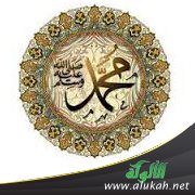 بين المولد والبعثة
