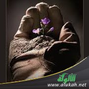 معالم من تربية أم سليم رضي الله عنها