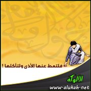 فلتمط عنها الأذى ولتأكلها !