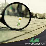 كن جميلا (2)
