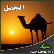 الجمل ( لغز شعري للأطفال )