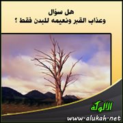 هل سؤال وعذاب القبر ونعيمه للبدن فقط؟