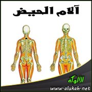 مواضع الحجامة من آلام الحيض