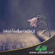 إن كنت مؤمنا فنفذ