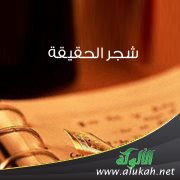 شجر الحقيقة ( قصيدة )
