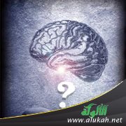 الاستعداد الفطري للمعرفة