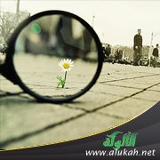 كن جميلا (4)