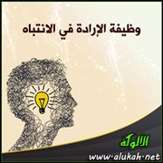 وظيفة الإرادة في الانتباه