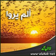 ألم يروا