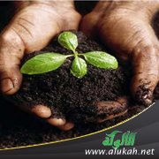 اقتصاديات أجور عنصر العمل في الإسلام