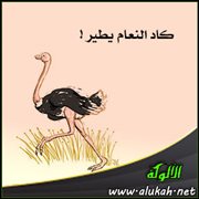 كاد النعام يطير!