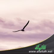 القرم والمضي قدما نحو الحرية