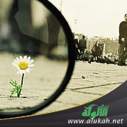 كن جميلا (6)