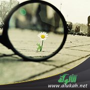 كن جميلا (7)
