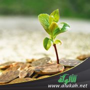 زبيدة والعمل الخيري
