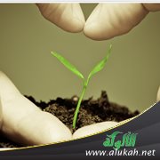 صوت الإنسانية الغائب