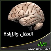 العقل والإرادة