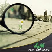 كن جميلا (8)